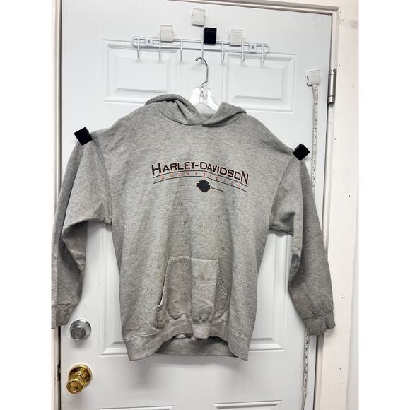 Harley Davidson Hoodie Biker Motorcycle AAA3587 - Picture 1 of 7